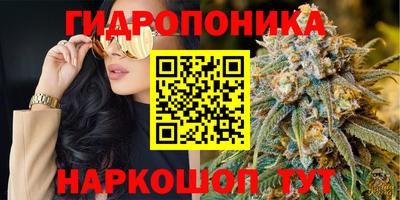 ALPHA-PVP Бийск