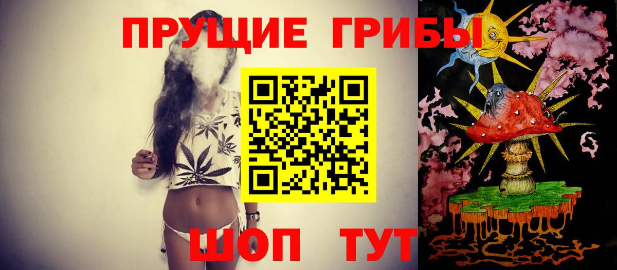 Псилоцибиновые грибы Cubensis  Псилоцибиновые грибы MAGIC MUSHROOMS  Ковров  Вход с VPN 